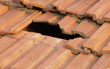 roof repair Ashreigney, Devon