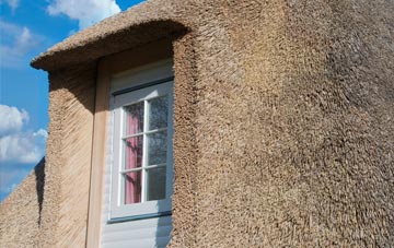Ashreigney thatch roof disadvantages
