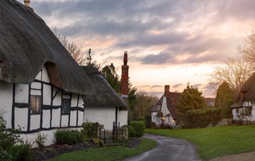 is Ashreigney thatch roofing popular